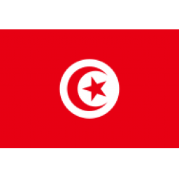  突尼斯